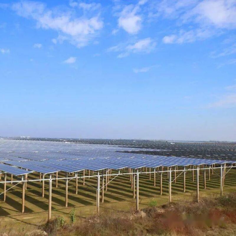 โครงยึดแผงโซลาร์เซลล์แบบติดตั้งบนพื้นดินให้ความทนทานต่อแรงลมและหิมะสูง พร้อมการออกแบบเสาเข็มที่ไม่เหมือนใครและส่วนประกอบที่ประกอบไว้ล่วงหน้า